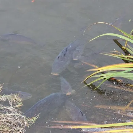 Harz Comfortable Casa vacanze